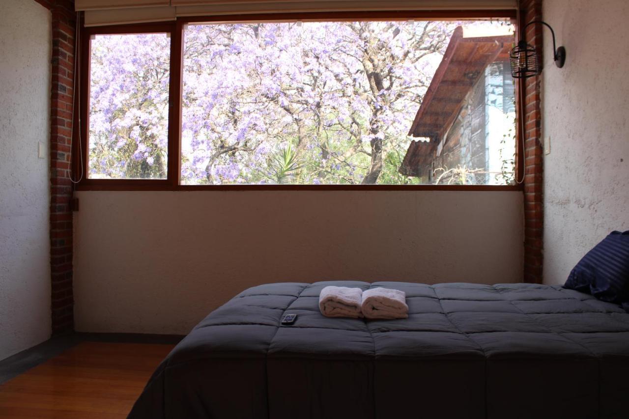 Casa Frida Coyoacan Ciudad de México Exteriér fotografie